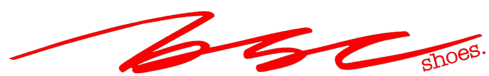 logobsc.gif (17004 bytes)